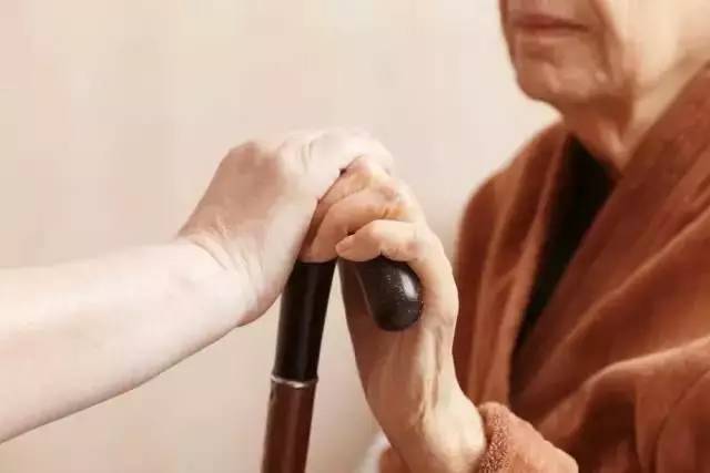 古人六养:水声养耳,绿草养目,书卷养心